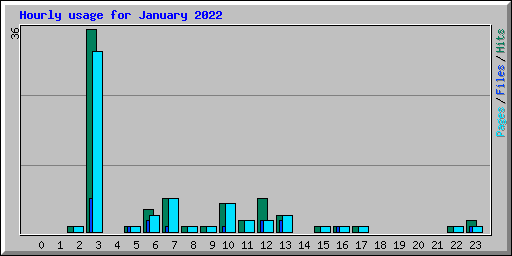 Hourly usage for January 2022