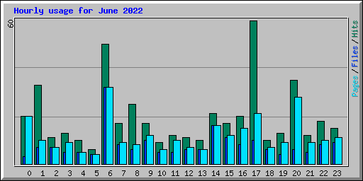 Hourly usage for June 2022